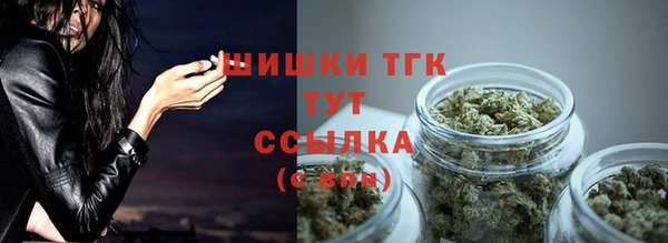 прущие грибы Армянск