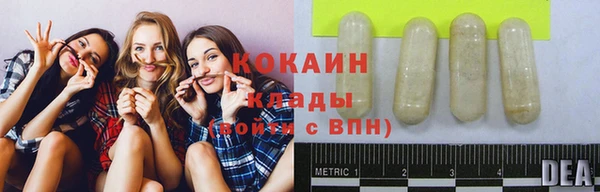 прущие грибы Армянск