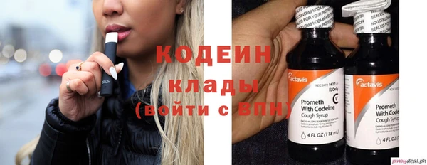 прущие грибы Армянск