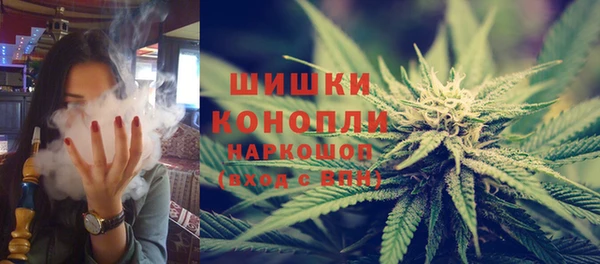 крисы Арсеньев