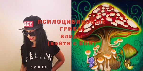 крисы Арсеньев