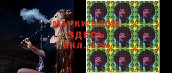 прущие грибы Армянск